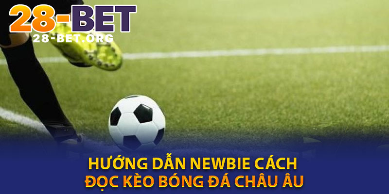 Hướng Dẫn Newbie Cách Đọc Kèo Bóng Đá Châu Âu