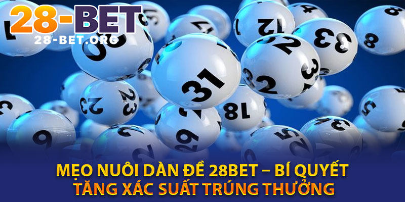 Meo nuoi dan de 28bet – Bi quyet tang xac suat trung thuong