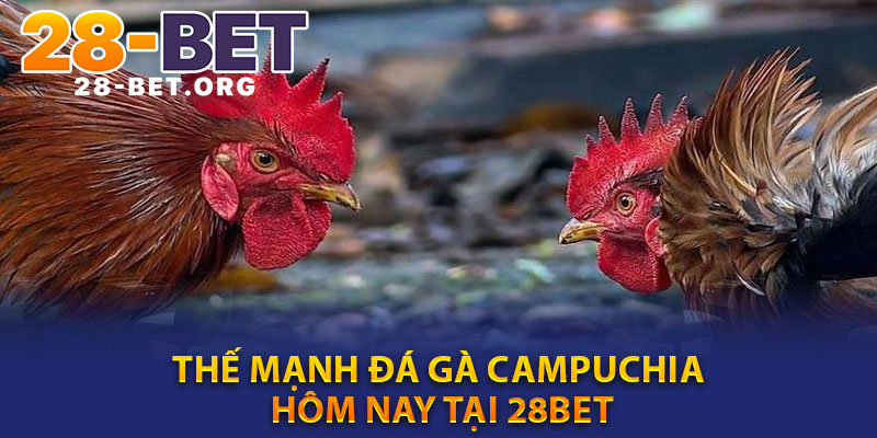 Thế Mạnh Đá Gà Campuchia Hôm Nay Tại 28bet